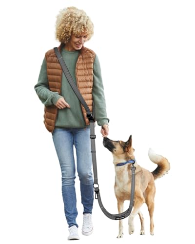 Hands Free Dog Leash (Gray / Large-5.9-9.5ft)
