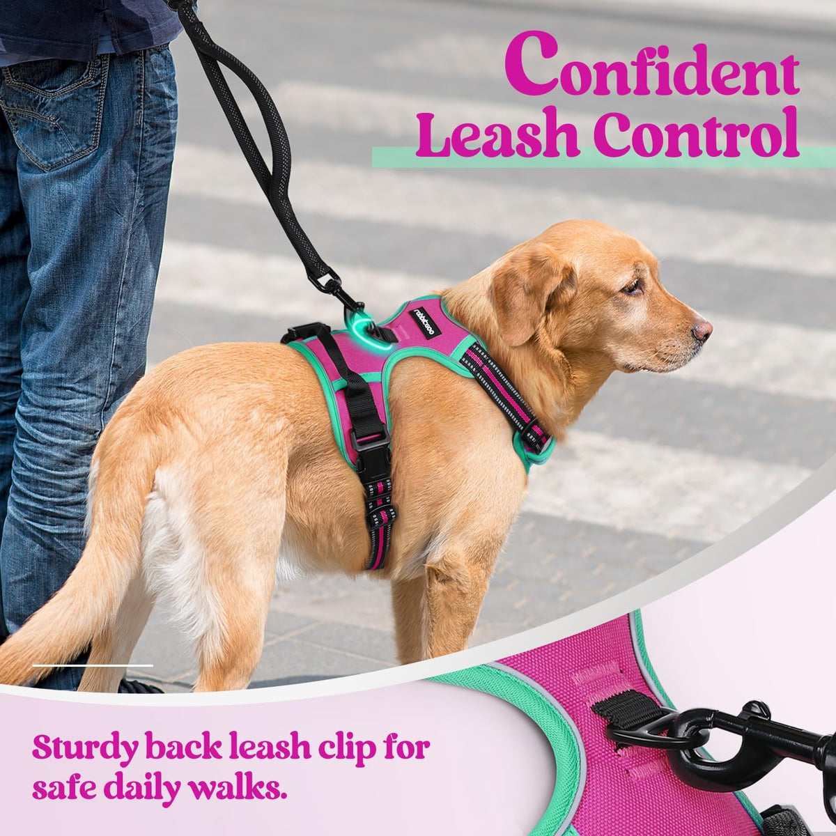 Dog Harness No Pull for Large Dogs with 2 Leash Clips (X-Large / Hot Pink & Turquoise)