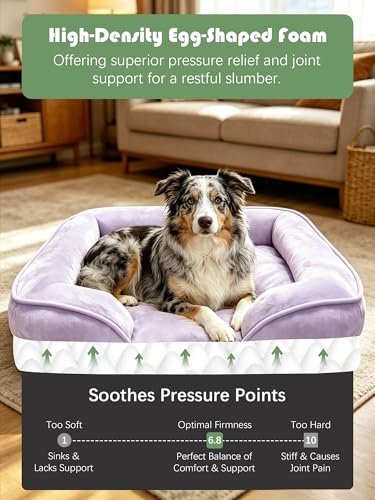 Orthopedic Dog Bed with Sides (35.0"L x 25.0"W x 6.5"Th / Purple)
