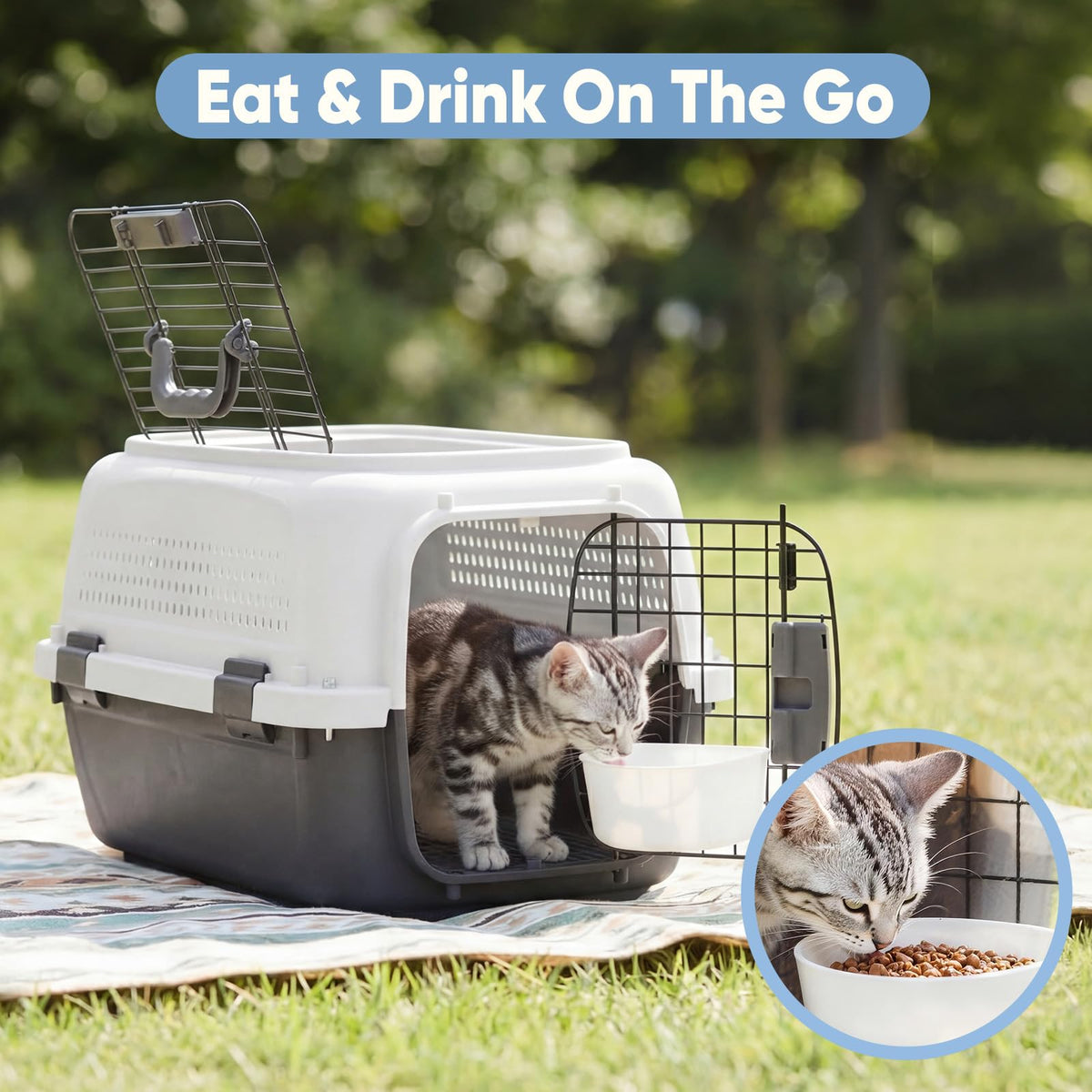 23" Hard Sided Pet Carrier for Small Pets (White & Black / 22.4"L x 14.6"W x 13.0"H)
