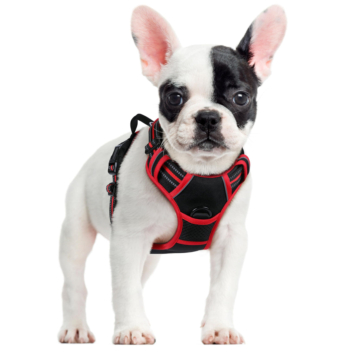 Dog Harness No Pull for Small Dogs with 2 Leash Clips (Small / Black & Red)
