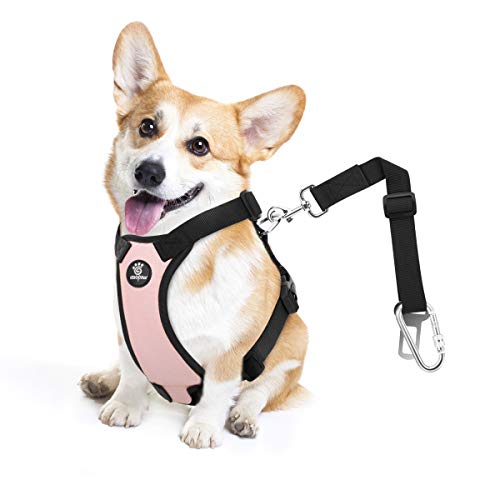 Dog Seat Belt Vest Harness for Car (Pink / M (Chest: 19.7-26.4", Neck: 12.6-20.5"))