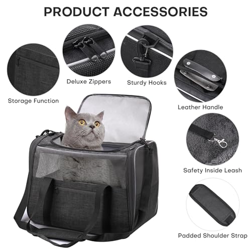 JUNGYOUN Premium Cat Carrier (Dark Grey / 18.0"L x 12.5"W x 14.0"H)