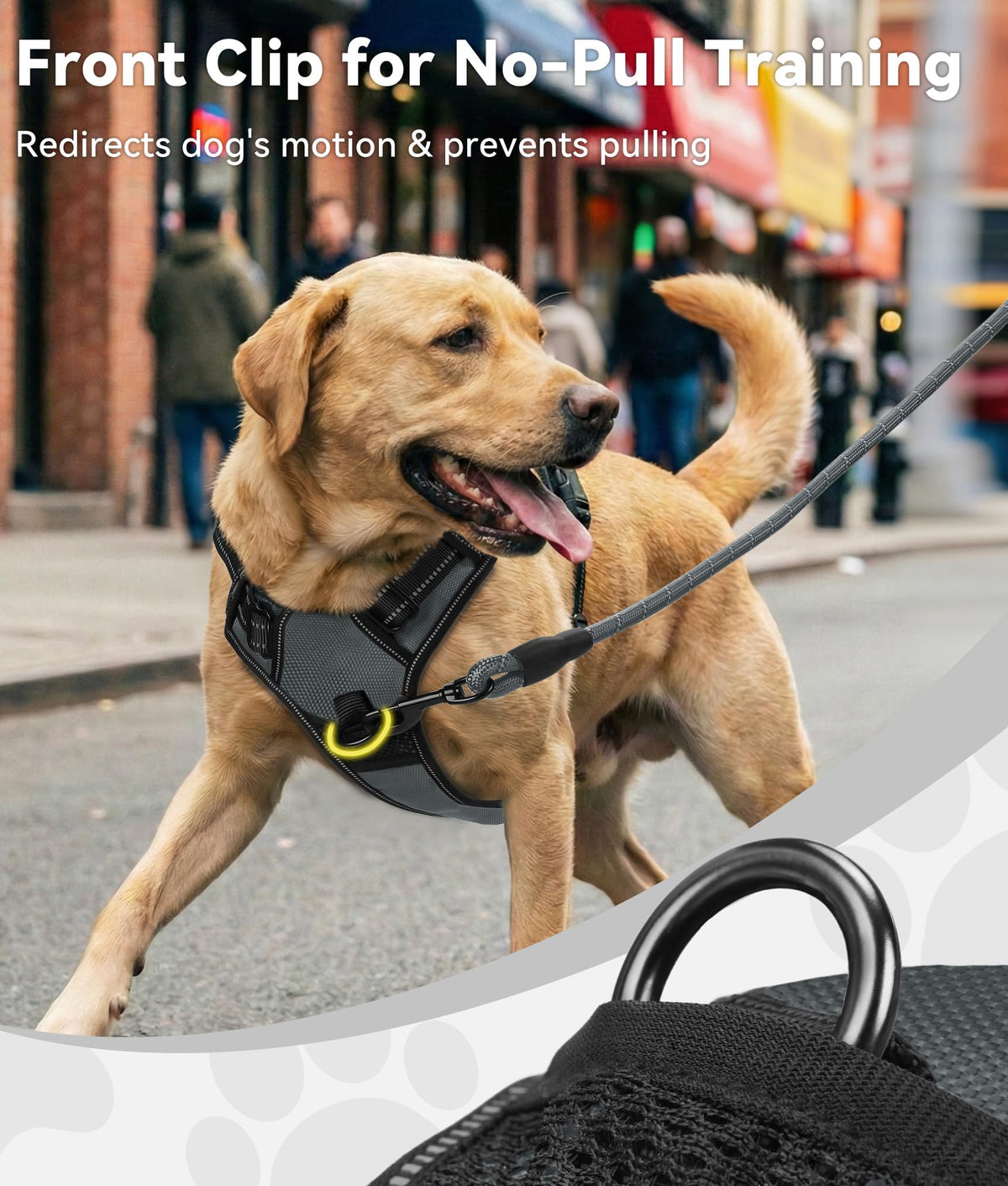 No Pull Dog Harness for Small Dogs (Small / Gray)