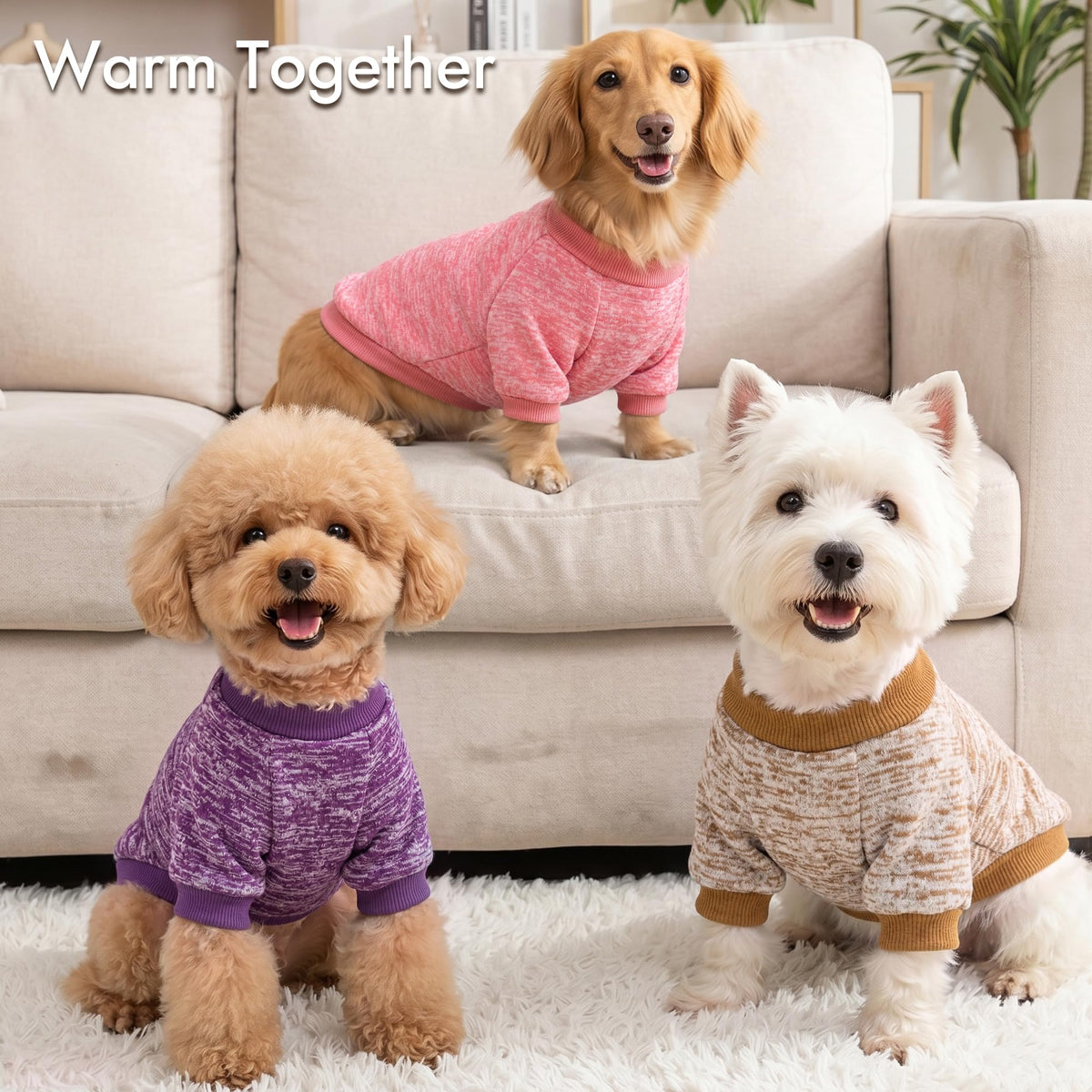3 Pack Dog Sweaters for Small Dogs Girl Boy Winter Fleece Clothes Warm Soft Dog Sweatshirt Outfit for Dogs Cats Pet Apparel (Khaki+Pink+Purple / XS (Back: 9.8", Chest: 13.7", 3.5-5.5 lbs))