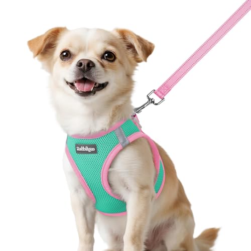 Dog Harness Small Sized and Leash Set (Teal & Pink / XXS (Chest: 12.4"-14.2"))