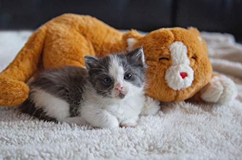 Plush Heartbeat Toy (Orange Kitty)