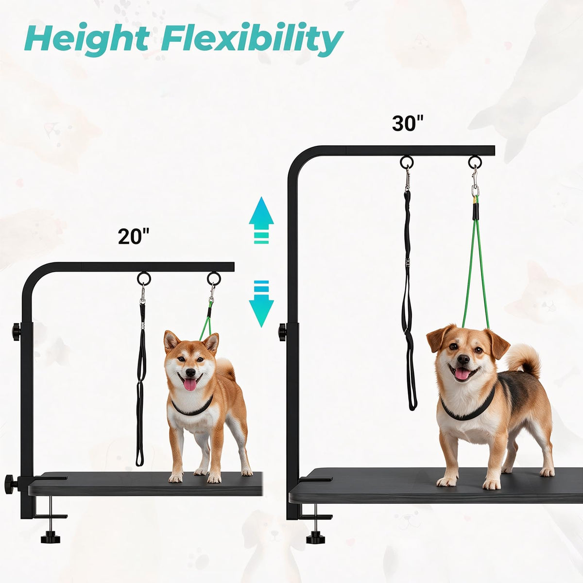 Adjustable Dog Grooming Arm with Heavy (Teal / Small)