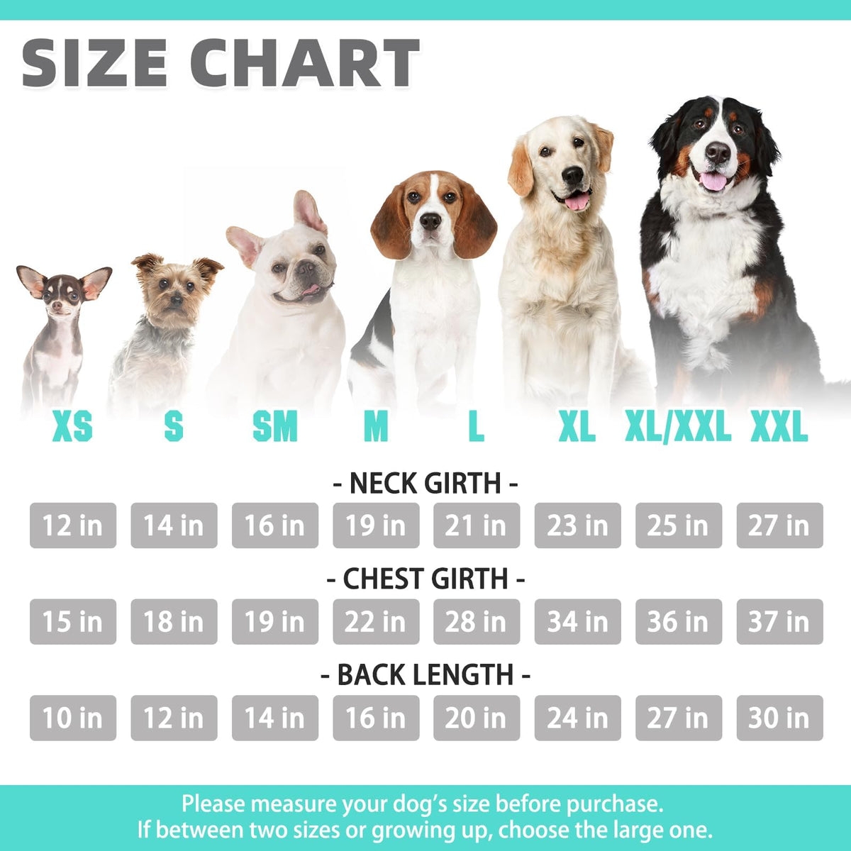 Dog Hoodie for Large Medium Small Dogs (Lake Blue / Small)