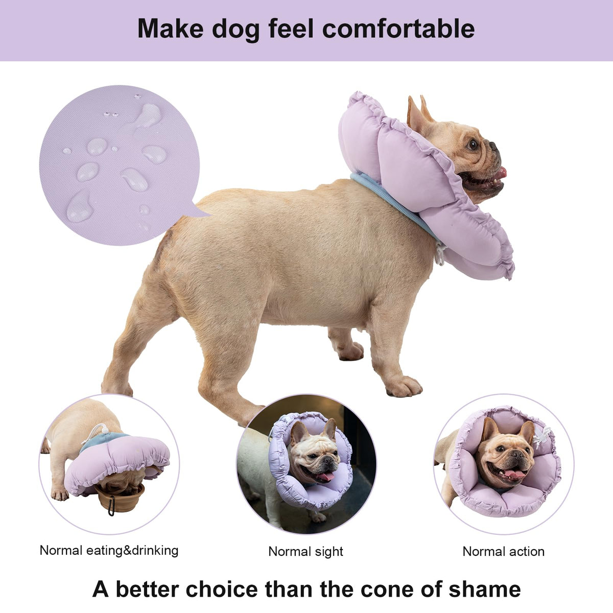 Dog Cone Collar Stress (XL-WideNeck / purple)