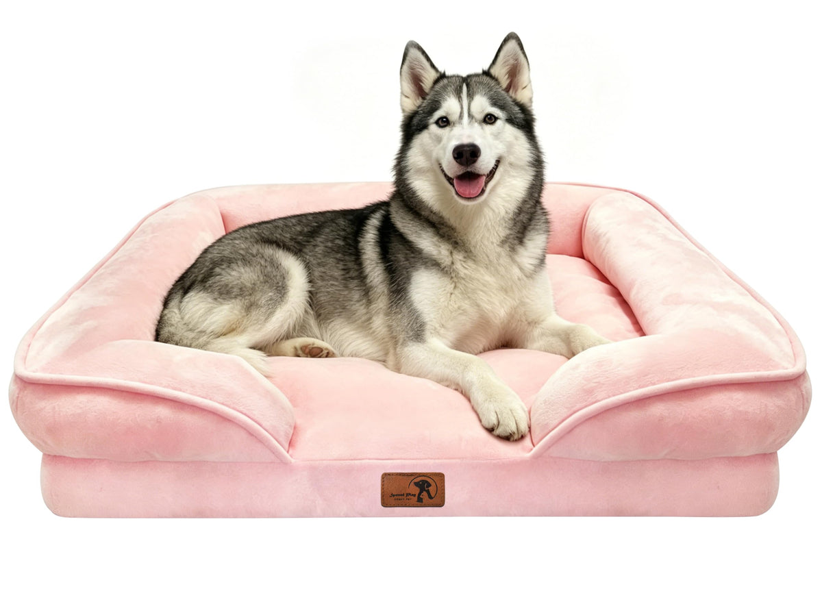 Orthopedic Dog Bed with Sides (38.0"L x 28.0"W x 6.5"Th / Pink)