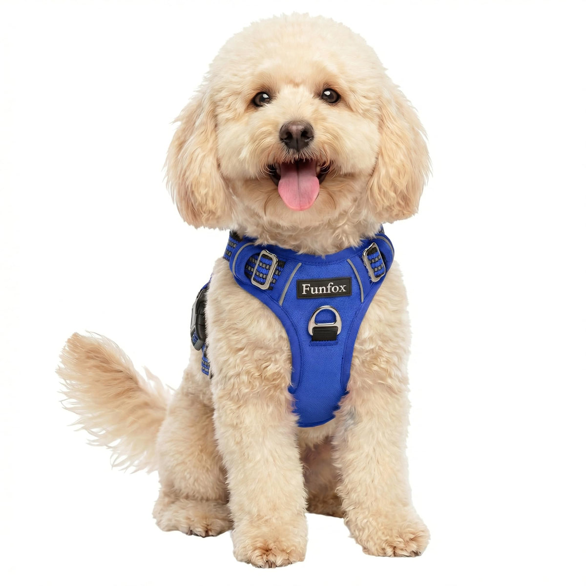 Dog Harness Small Sized Dog (Blue / Small)