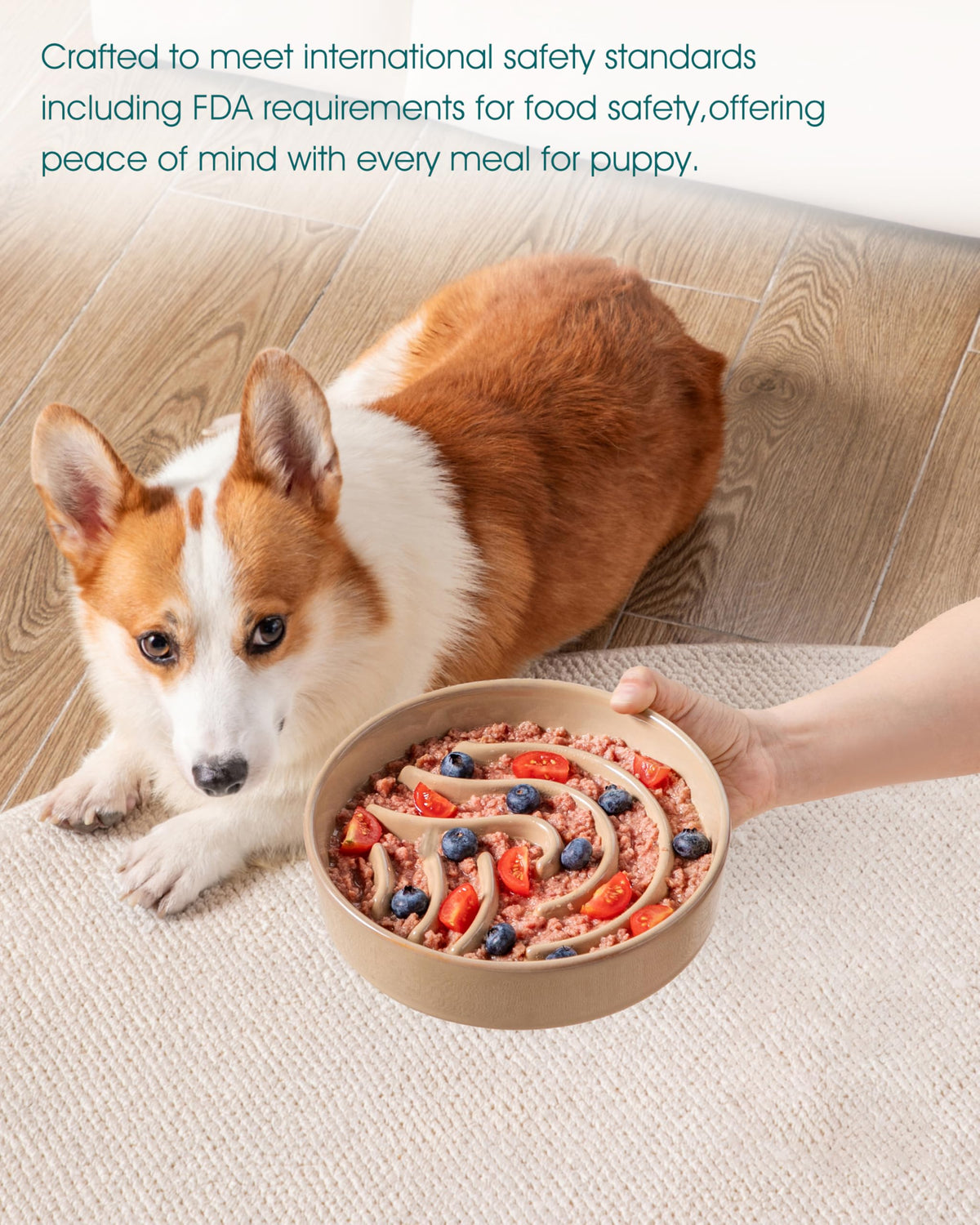 Slow Feeder Dog Bowl (Brown / 1.5 Cups)