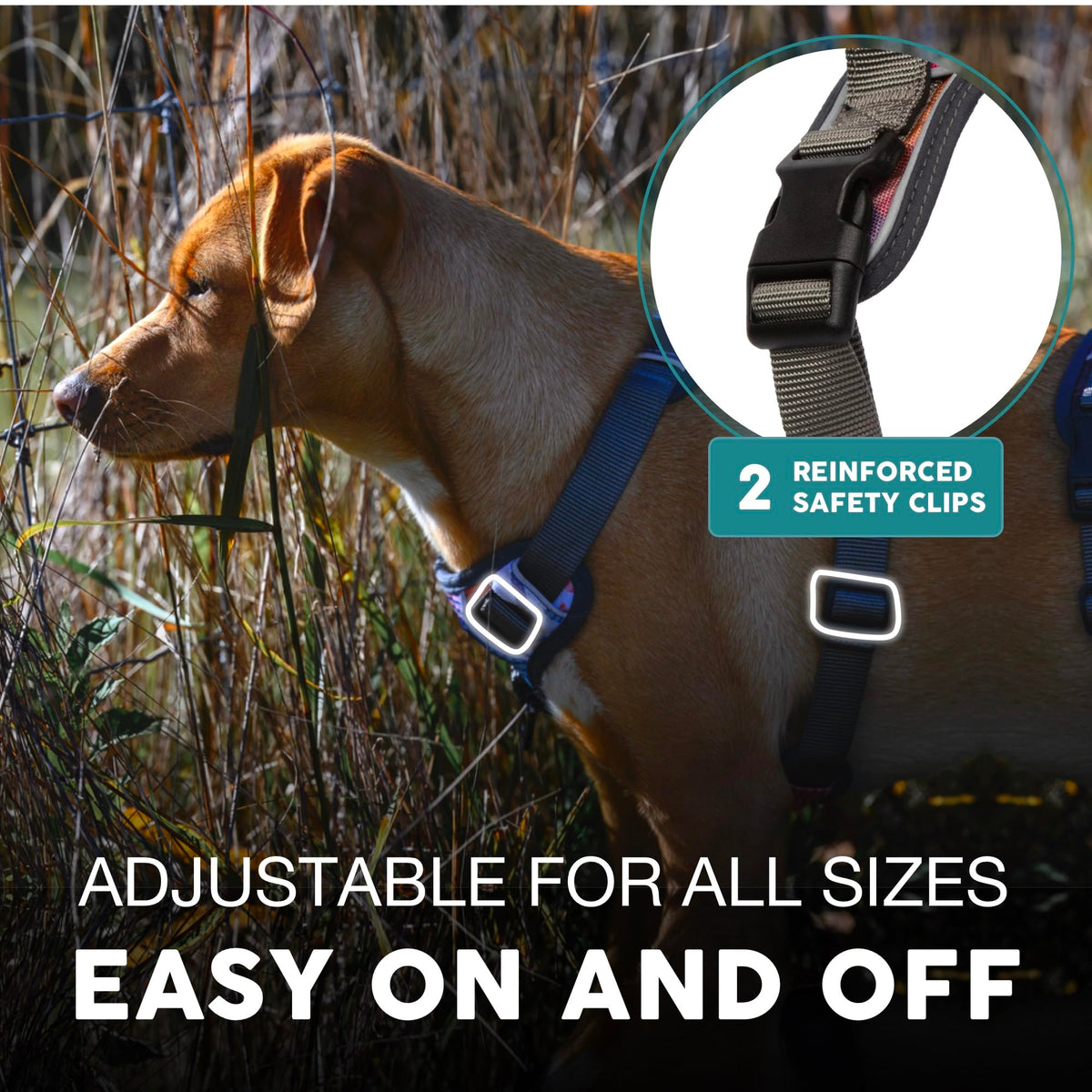 Embark No Pull Dog Harness (XS / Santa Monica)
