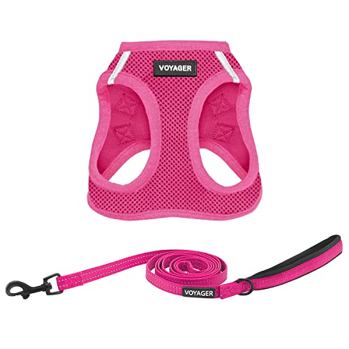 Voyager Step in Air All Weather Mesh Harness and Reflective Dog 5ft Leash Combo with Neoprene Handle (Fuchsia / S (Chest: 14.5 - 16"))