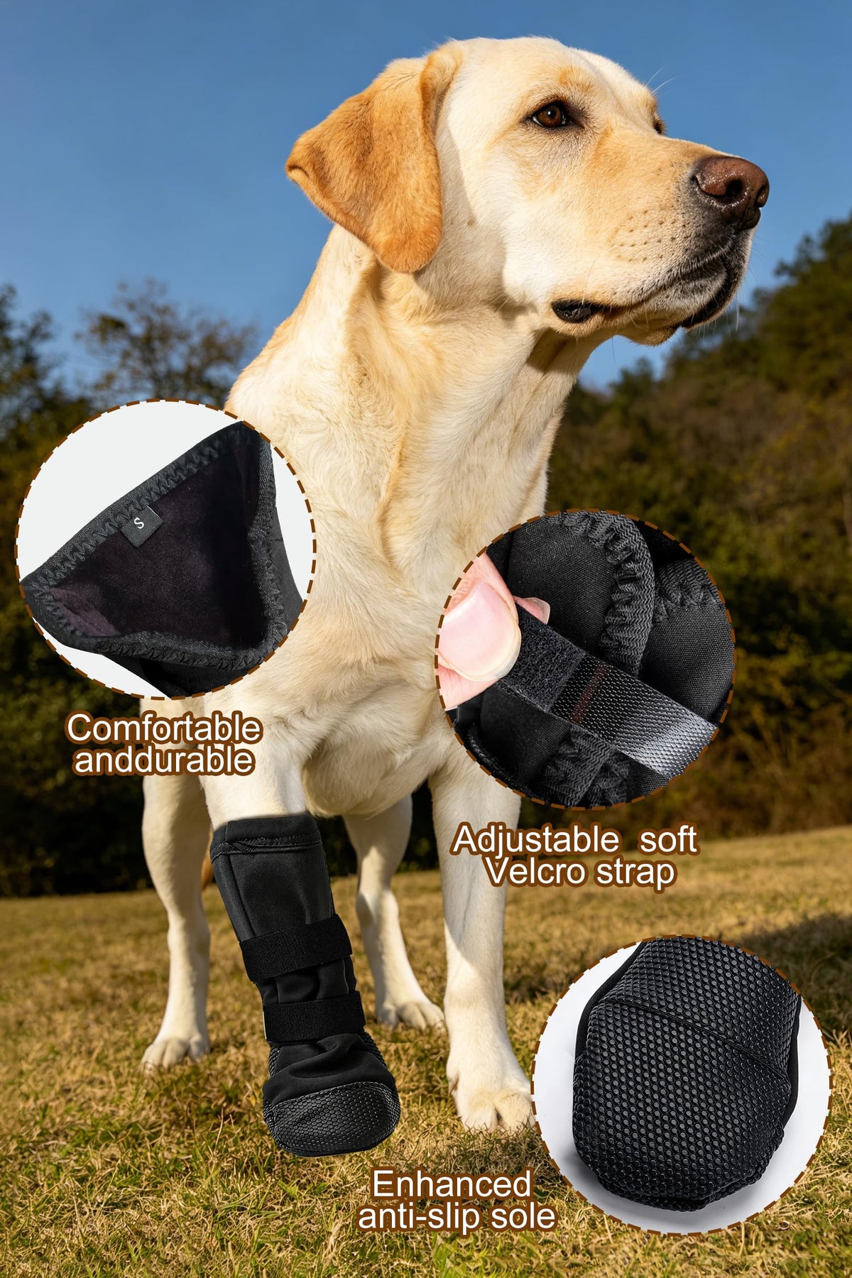 Dog Paw Wound Recovery Boot with Self (XL)