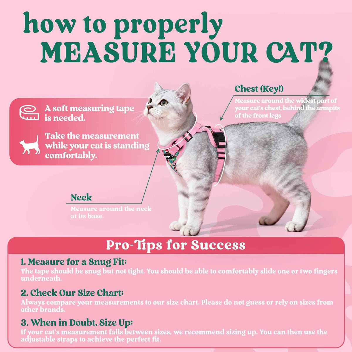 Cat Harness and Leash Set (Xxs / Melon Munch)