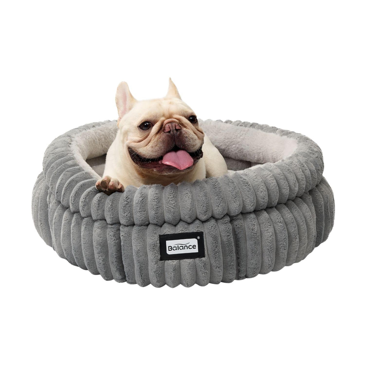 Cat Bed Kitten Bed (24.0"L x 24.0"W x 9"Th / Grey)
