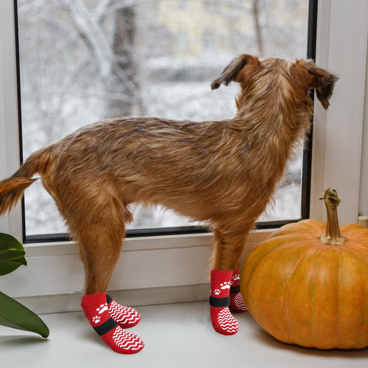 Anti Slip Dog Socks to Prevent Licking Paws for Hot Pavement (Thick Red / Medium)
