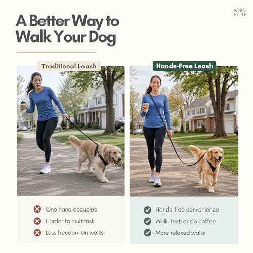 Hands Free Waterproof Dog Leash (Blue / 8 FT)