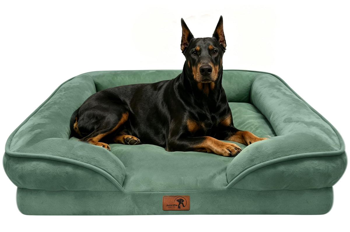 Orthopedic Dog Bed with Sides (48.0"L x 35.0"W x 8.0"Th / Green)