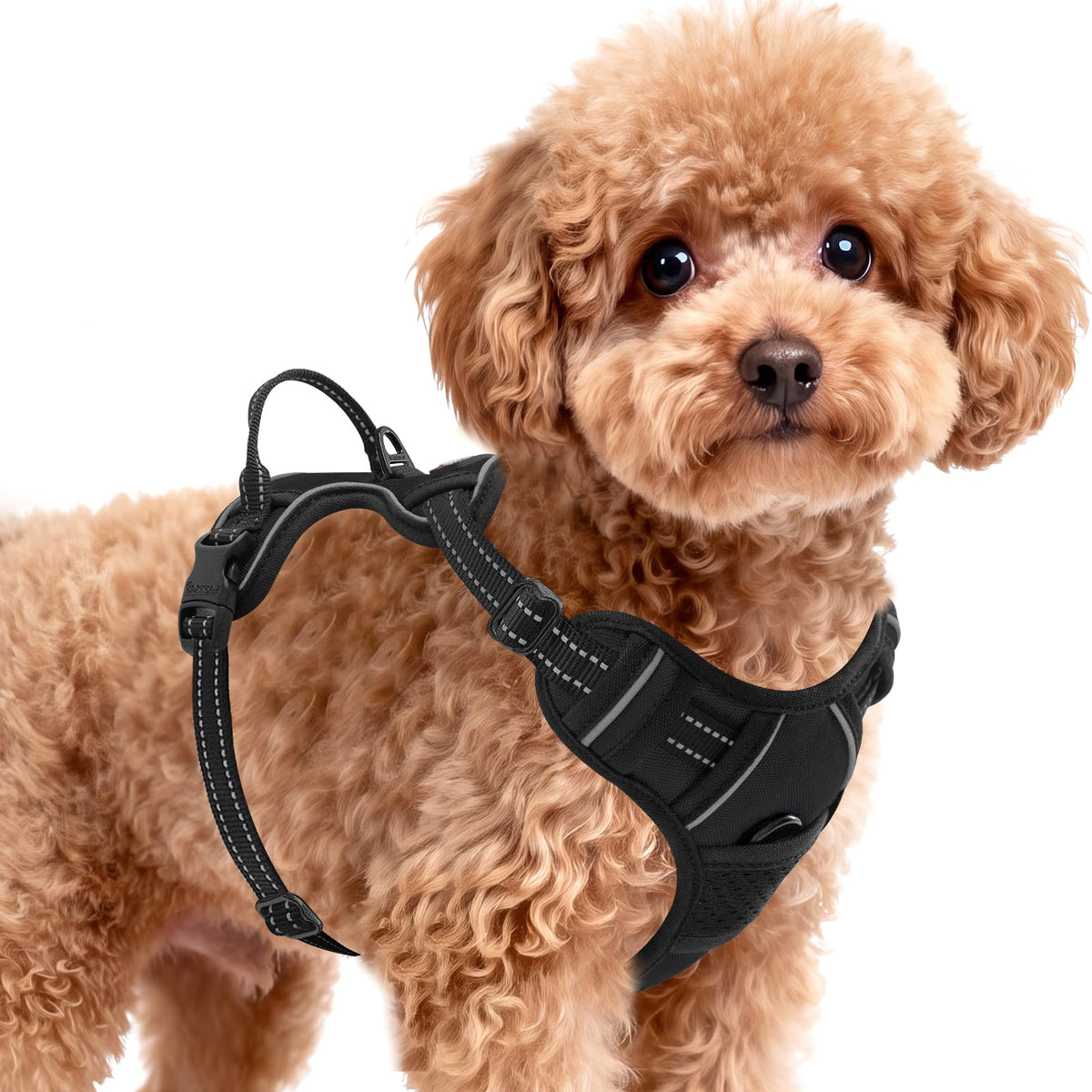 Dog Harness for Small Sized Dog No Pull 2 Leash Clips Dog Vest (Black / X-Small)