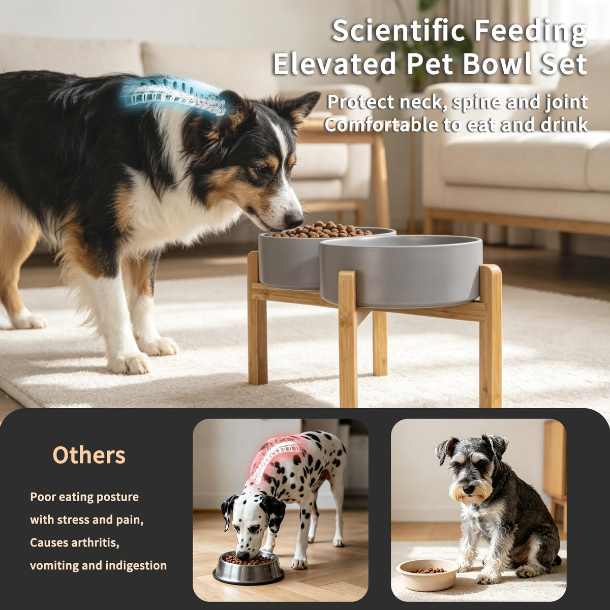Elevated Ceramic Dog Bowl Set (Dark Gray / Large)