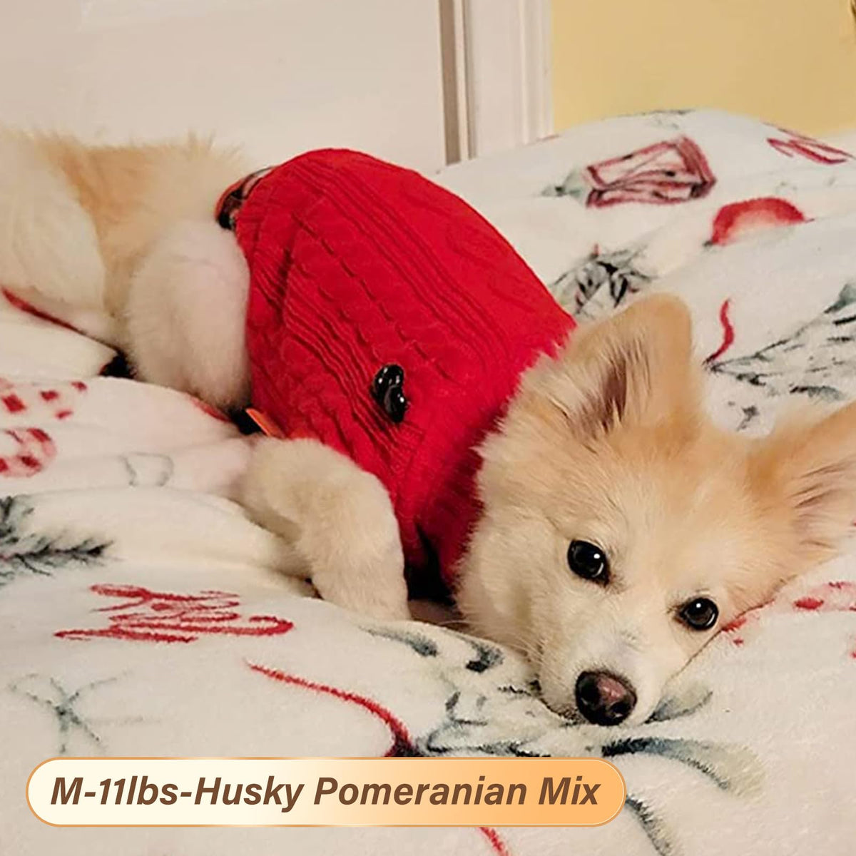 Dog Sweater for Small Dogs Turtleneck Thick Knit Pullover (Medium (7-13lbs) / 2# Red)