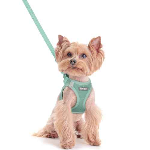 Dog Harness Small Sized and Leash Set (Moss Green / Xxs (chest: 12.4 - 14.2"))