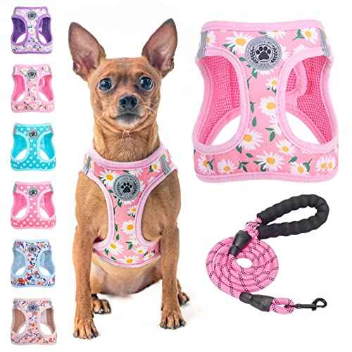 Small Dog Harness and Leash Set (XSmall(Chest Girth 13" - 14.5") / Pink Daisy)
