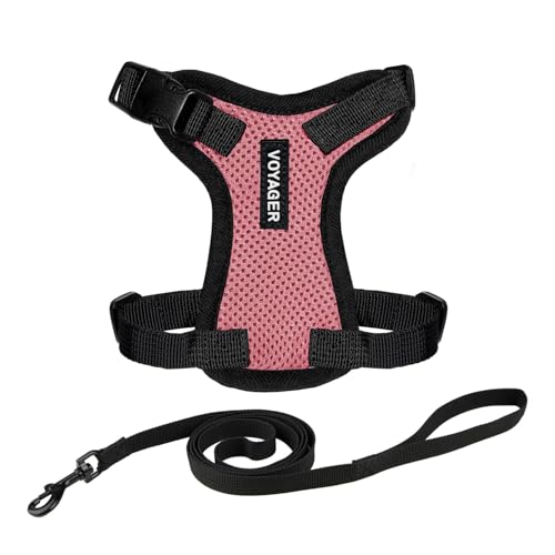 Voyager Step in Lock Cat Harness & Leash Set (Pink/Black Trim / XS (Chest: 13 - 16"))