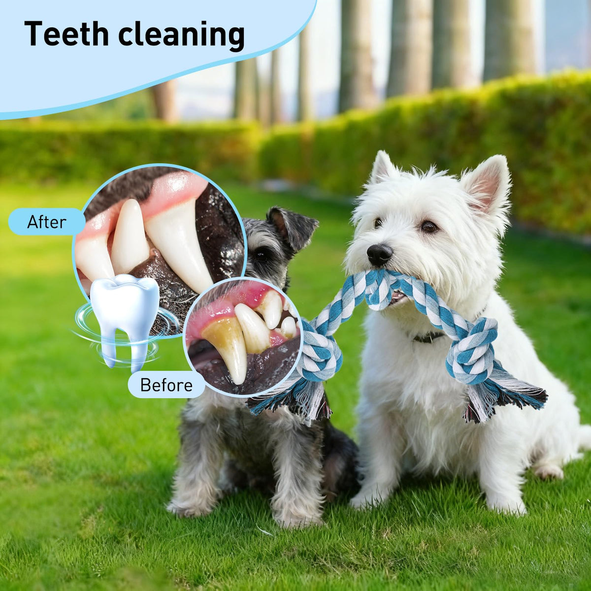 Dog Rope Toy 2 (Small / Blue & Green)