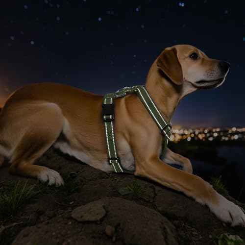Dog Seat Belt Vest Harness for Car (Full Army Green / M (Chest: 19.7-26.4", Neck: 12.6-20.5"))
