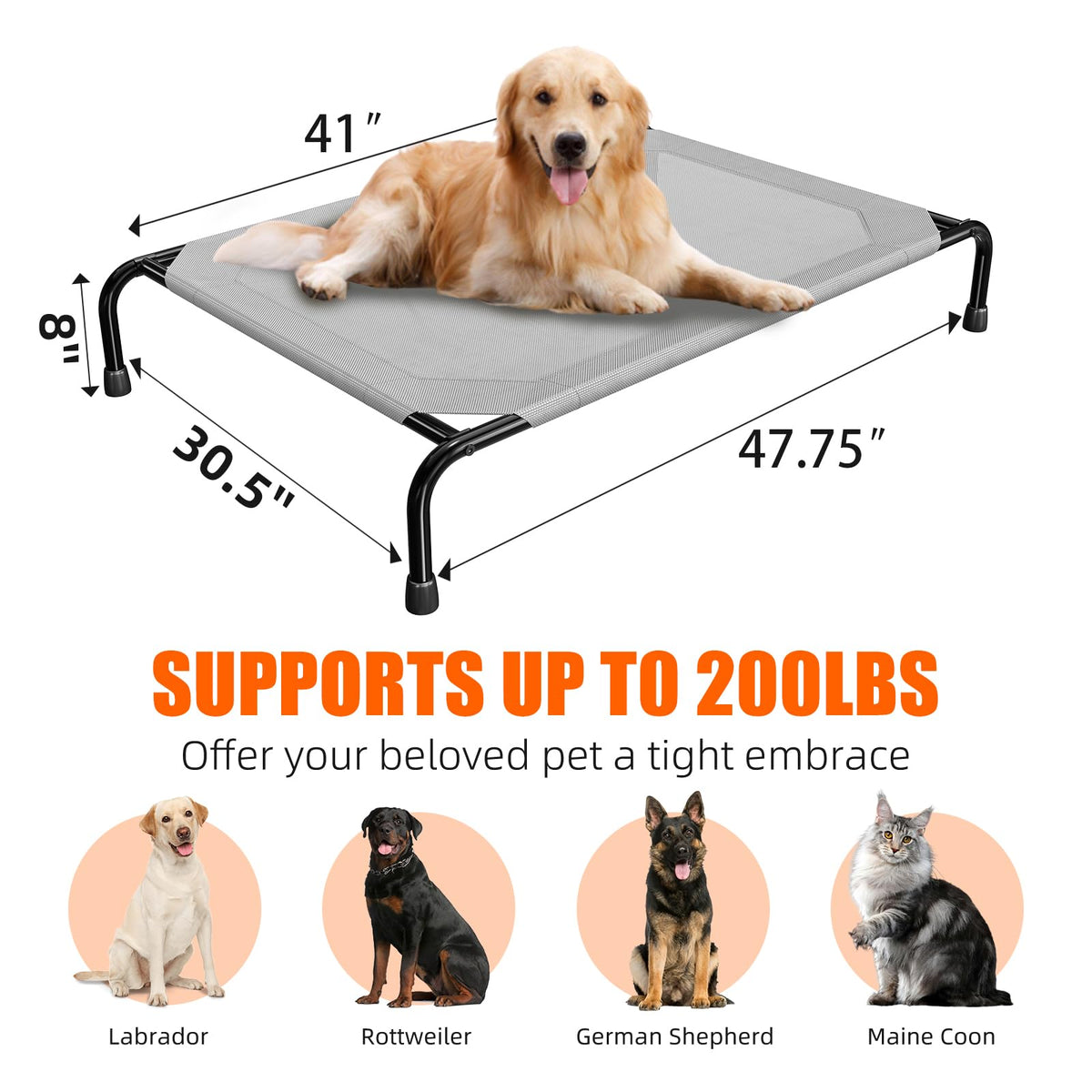 Raised Dog Bed for Large Dogs (Grey / 47.75"L x 30.5"W x 8"Th)