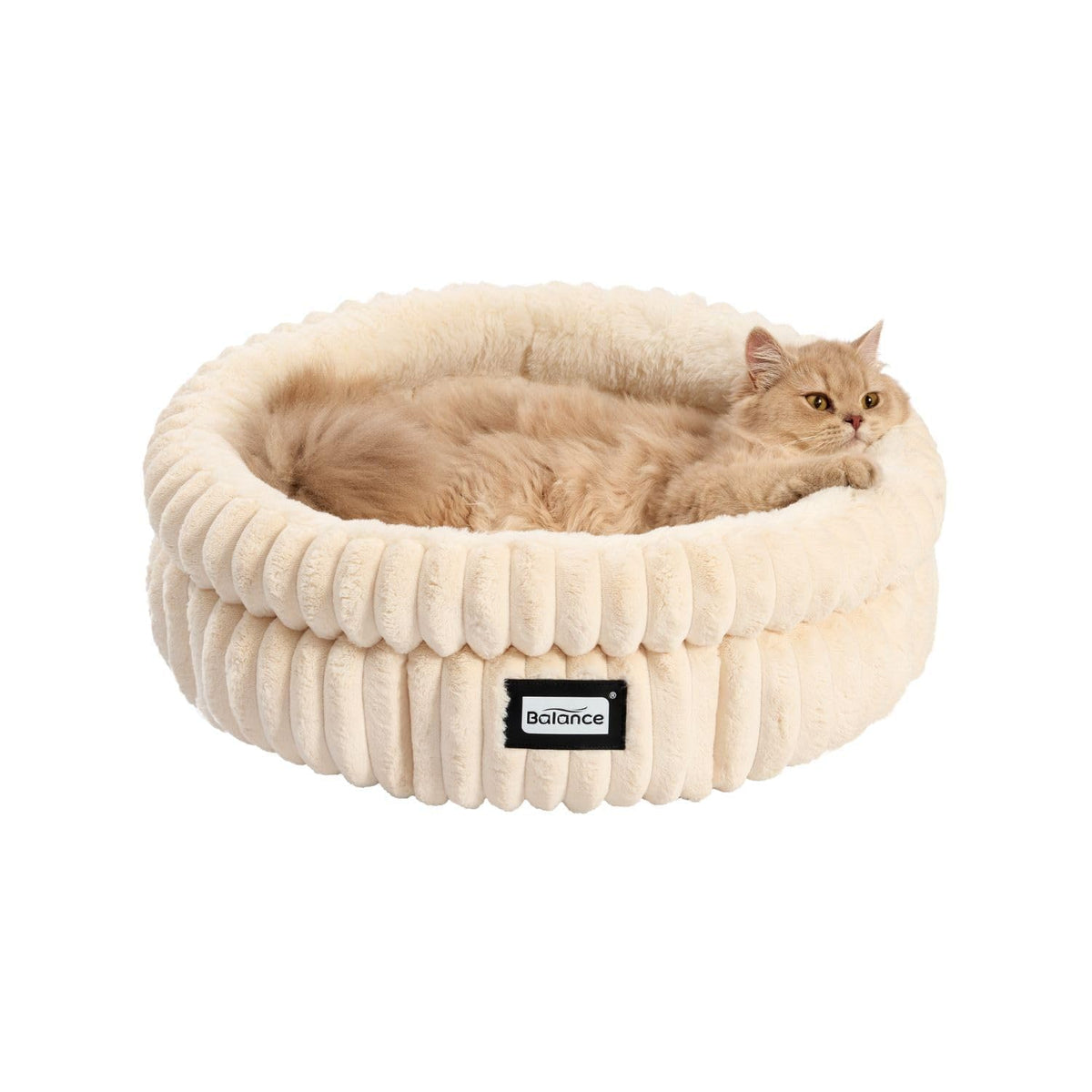 Cat Bed Kitten Bed (20.0"L x 20.0"W x 8"Th / Winter White)