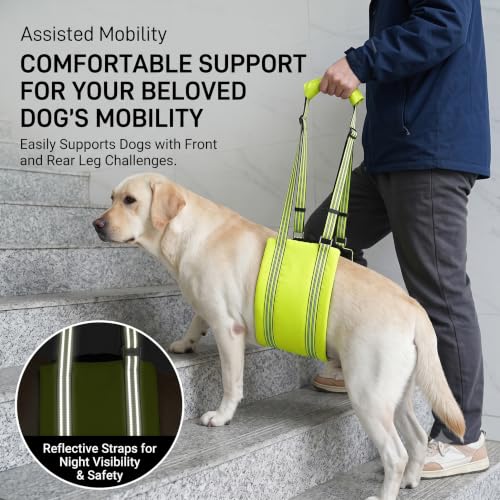 Green Dog Lift Harness with Reflective Strips for Large Dogs