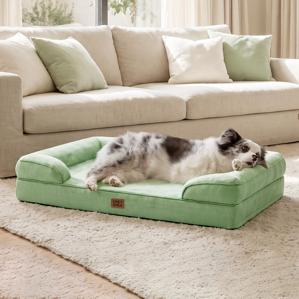 Orthopedic Extra Large Dog Bed (Sage Green / 44.0"l X 32.0"w X 6.5"th)