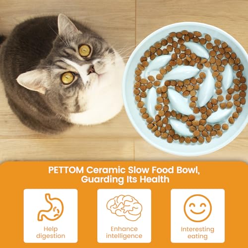 Slow Feeder Cat Bowl Elevated Ceramic with Bamboo Stand (Green Fish)