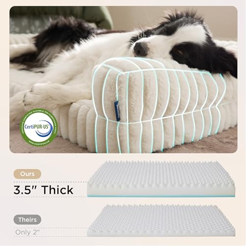 ComfyFleece® Memory Foam Orthopedic Dog Beds Large Sized Dog 35" (Cream / 35.0"l X 25.0"w X 7"th)