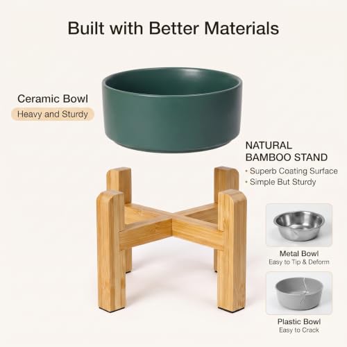 Raised Dog Bowl (Medium-2 / White)