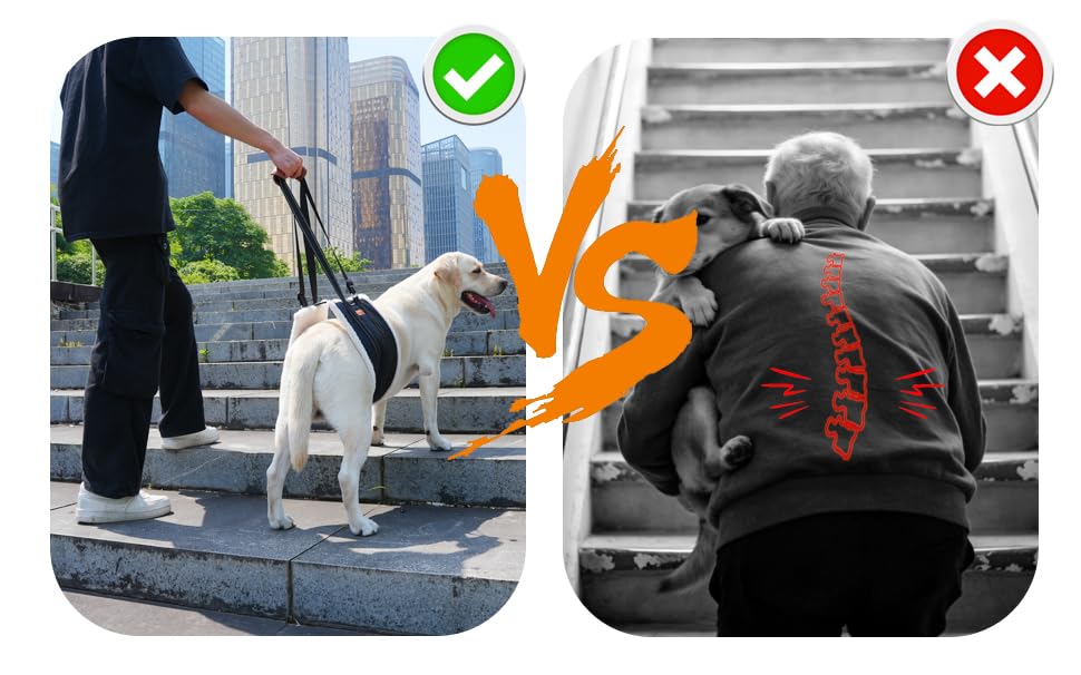 Dog Lift Harness for Large Dogs (Black / L/XL: 81-400 Lbs)