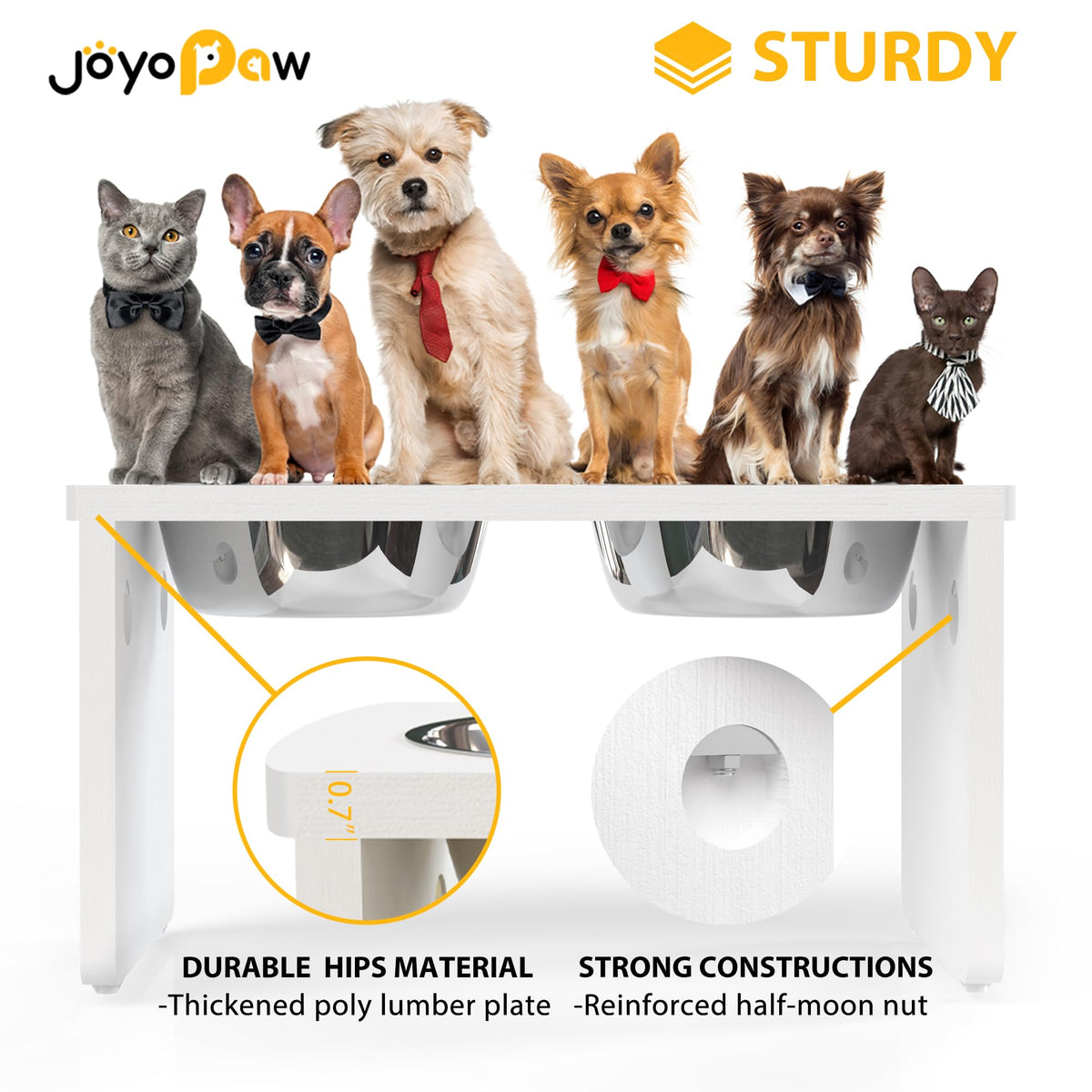 Elevated Dog Bowls (White / Large: 10'' Tall-48oz Bowl)