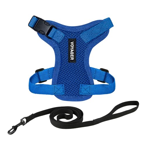Voyager Step in Lock Cat Harness & Leash Set (Royal Blue / XS (Chest: 13 - 16"))