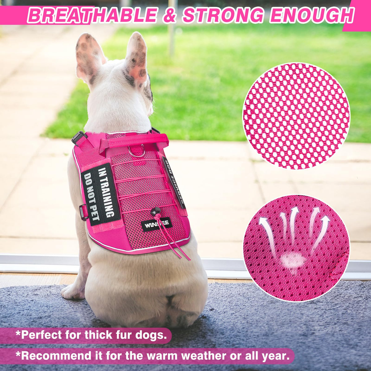 Service Dog in Training Mesh Harness with 10 Removale Pet Patches (Large / Pink)
