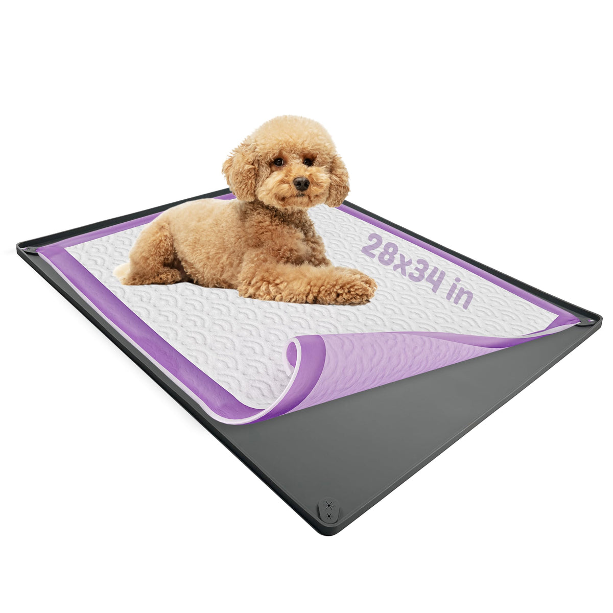Dog Pee Pad Holder Tray Fits for 28” x 34” Pee Pads (34 x 28 Inches - 2 Pack / Grey)