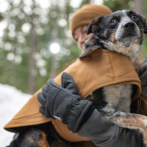 Firm Duck Insulated Dog Chore Coat Carhartt Brown (Carhartt Brown / Medium)