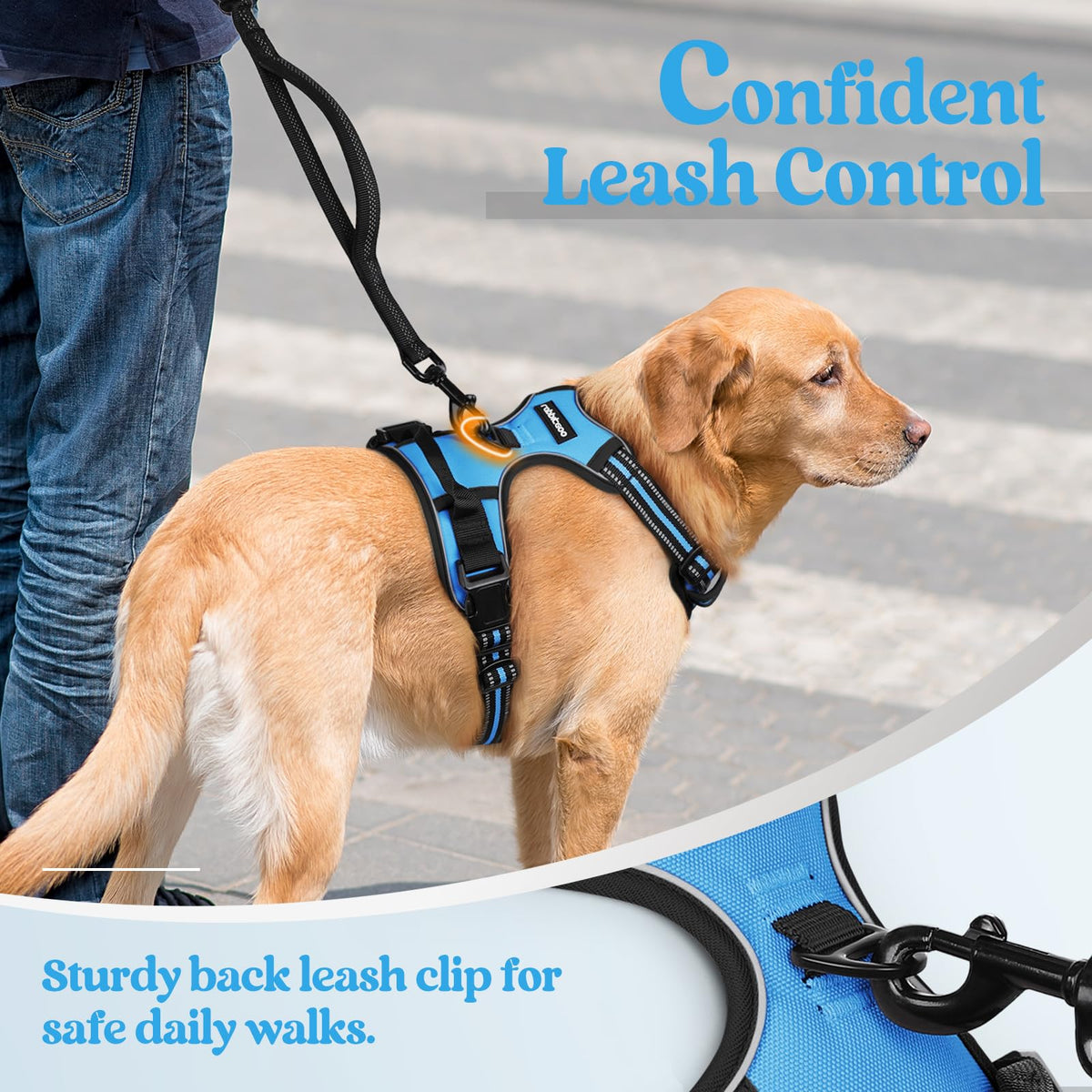 Dog Harness No Pull for Small Dogs with 2 Leash Clips (Small / Blue)