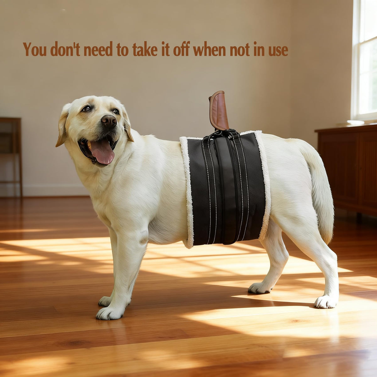 Dog Lift Harness for Large Dogs (Black / L/XL: 81-400 Lbs)