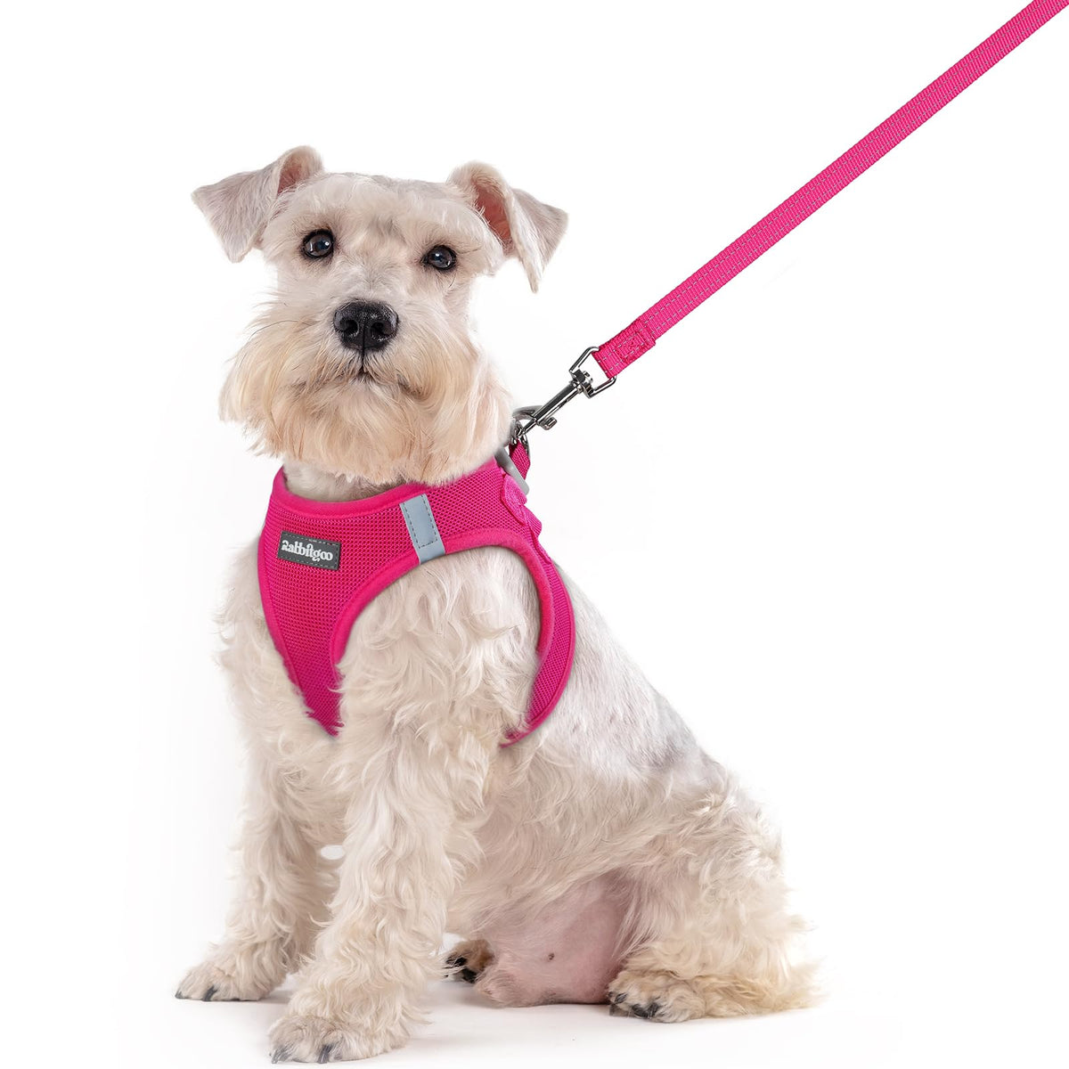 Dog Harness Medium Sized and Leash Set (Rose Red / Xxl (chest: 21.6 - 23.7"))