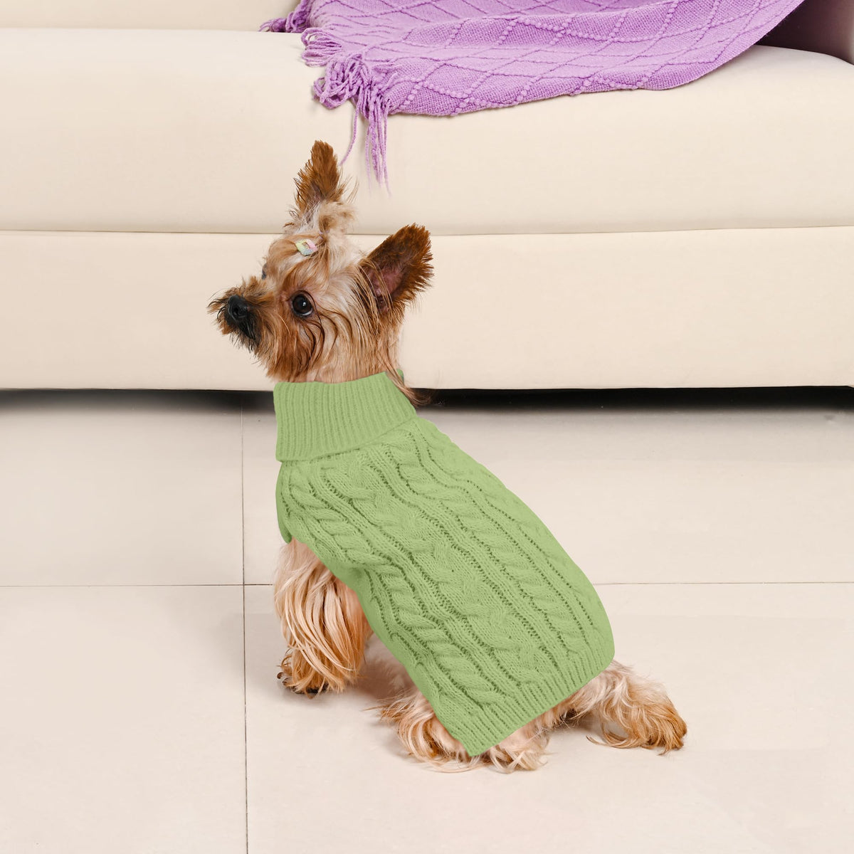 Dog Sweater 2 Pack for Small Dogs (Blue & Green / X-Small)